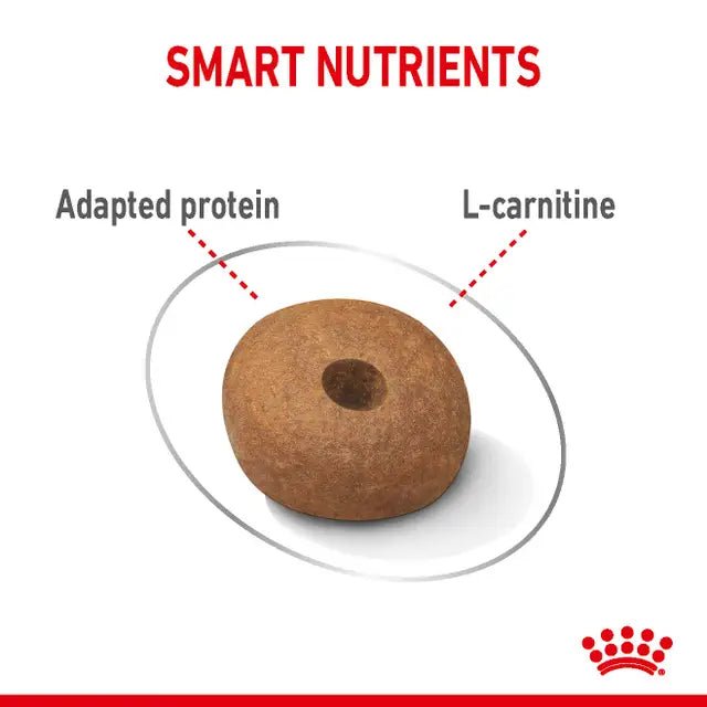 Royal Canin Medium Light Weight Care Dry Dog Food - Pet Supply